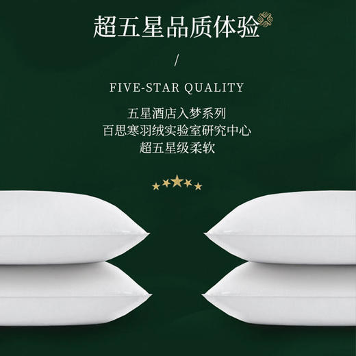 已下架【100代金券】百思寒 95%白鹅羽绒枕头 一支1100克中高枕保护颈椎帮助睡眠[福利品] 商品图1