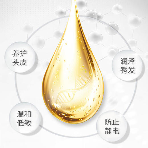 【已下架】【50代金券】歌歌兰妮 洗发+护发套装 蓝风铃香水持久留香无硅油防脱柔顺配方[福利品] 商品图2