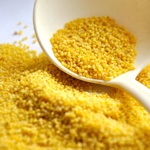 静若山红谷小米 | 山人优选，刚脱壳的农家新小米，颗粒饱满，油脂丰富，现磨现发，鲜香营养 商品图5