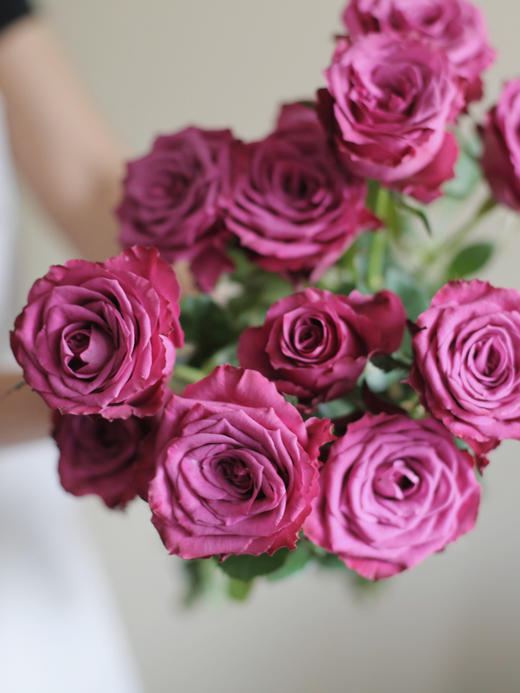 蓝莓多头玫瑰【我们相爱一生，一生还是太短】简小姐精选 复古浓郁气质紫红色多头玫瑰 蓝莓 10枝 2束包邮 下单5天内发货 商品图1