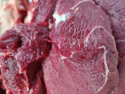 滦平山区放养黄牛肉 商品图0