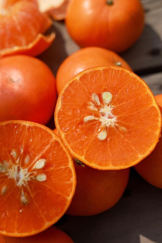 【年货必备】广西纯甜沃柑，饱满鲜嫩的肉质果味浓郁，纯甜化渣征服你的味蕾。 商品图0