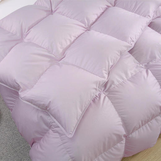 预售|THESOWING 90%鸭绒被羽绒被静音子母被220cm*240cm.潮快闪[福利品] 商品图2