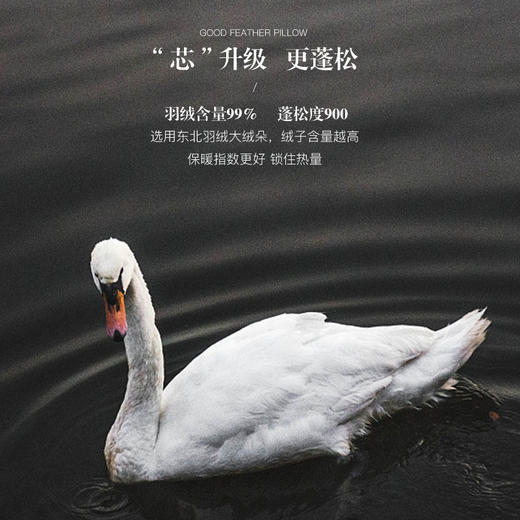 【已下架】预售|THESOWING百思寒 99%手工白鹅绒被羽绒被全真丝冬被220*240cm.潮快闪[福利品] 商品图2