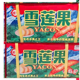 【13.9元2箱】雪莲果礼盒（每箱净重4斤左右）（1500493）