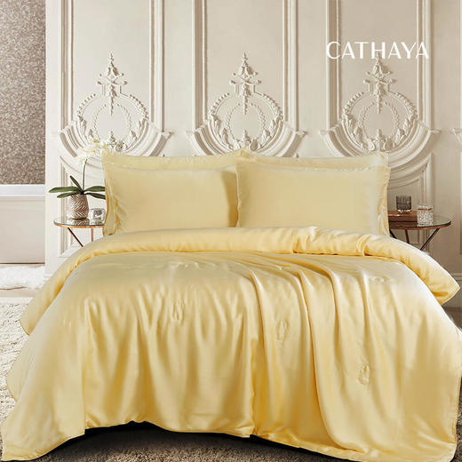 CATHAYA/凯喜雅 黄金茧夏凉被 真丝蚕丝被150*200cm抑菌 透气助眠[福利品] 商品图1