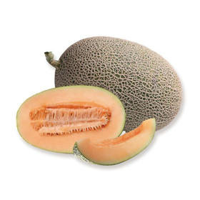 [庭院种子] 哈密瓜种子 "华蜜0526"