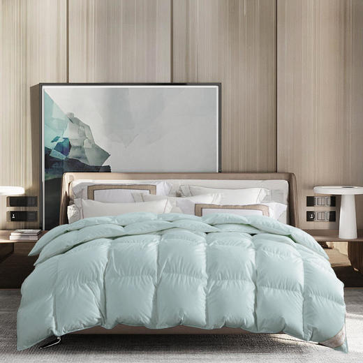 【已下架】百思寒 95%鹅绒被 羽绒被 静音四季子母被220cm*240cm [福利品] 商品图1