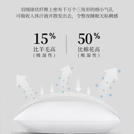 已下架【100代金券】百思寒 95%白鹅羽绒枕头 一支1100克中高枕保护颈椎帮助睡眠[福利品] 商品图3