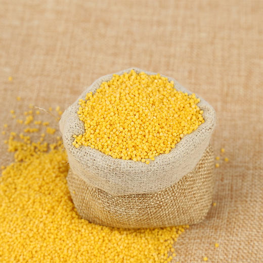 静若山红谷小米 | 山人优选，刚脱壳的农家新小米，颗粒饱满，油脂丰富，现磨现发，鲜香营养 商品图6