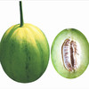 [专业种子] “思香”光皮甜瓜种子 商品缩略图0