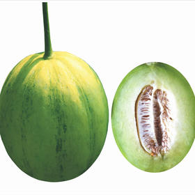 [专业种子] “思香”光皮甜瓜种子