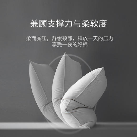 【已下架】百思寒 95%白鹅羽绒枕头 一支900克中低枕 保护颈椎帮助睡眠[福利品] 商品图0