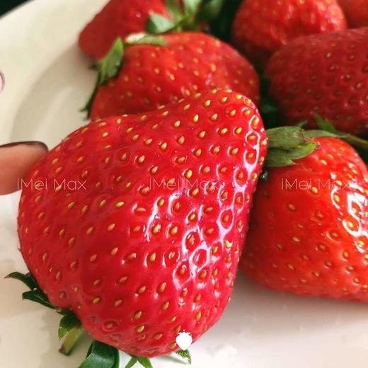 5天内发货 | iMeiMax 圣诞魔法版 丹东草莓礼盒 20颗/盒 个重≥45克[福利品] 商品图4