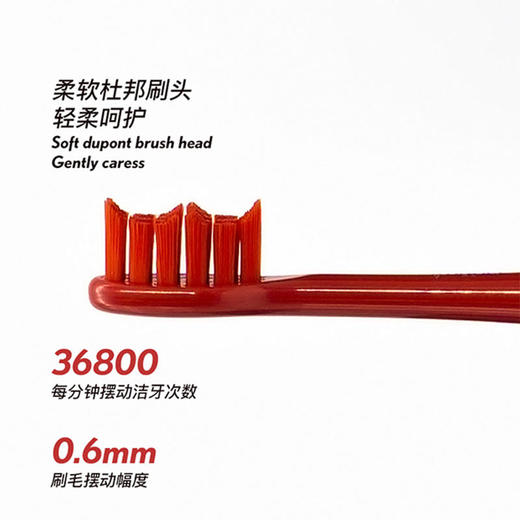 停发】APIYOO/艾优 限量版成人声波电动牙刷[福利品] 商品图1