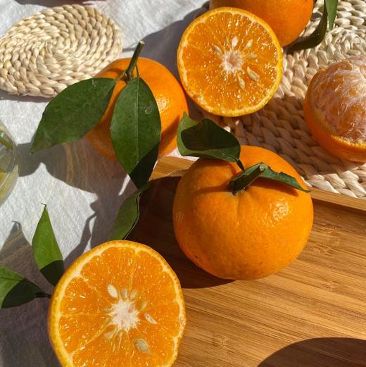 云南沃柑 商品图1