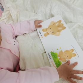 《小鸡球球亲子游戏玩具书》晚上不睡觉就要看书