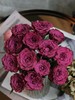 蓝莓多头玫瑰【我们相爱一生，一生还是太短】简小姐精选 复古浓郁气质紫红色多头玫瑰 蓝莓 10枝 2束包邮 下单5天内发货 商品缩略图11