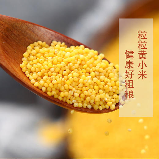 静若山红谷小米 | 山人优选，刚脱壳的农家新小米，颗粒饱满，油脂丰富，现磨现发，鲜香营养 商品图4