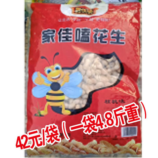 10斤装干炒小瓜子/袋装蒜香花生（4.8斤重）/袋装干炒花生（4.5斤重） 商品图2