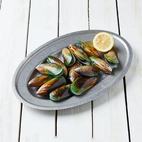 青口贝 Mussels