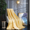 CATHAYA/凯喜雅 黄金茧夏凉被 真丝蚕丝被150*200cm抑菌 透气助眠[福利品] 商品缩略图3
