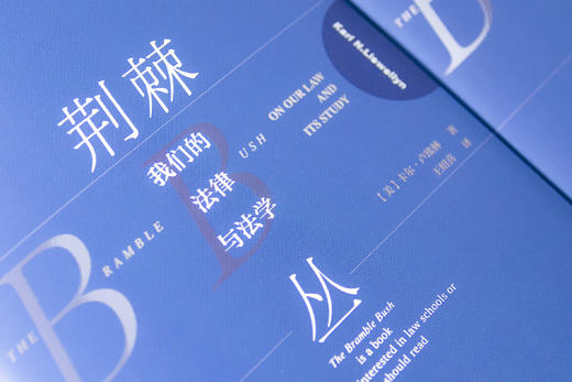 麦读译丛 | 荆棘丛：我们的法律与法学（法律人床头经典） 商品图5