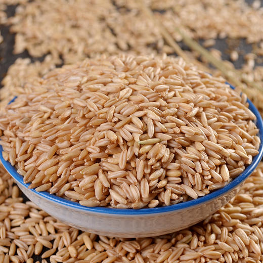 高山原农家自产燕麦米 | 山人优选，自然生长，0添加，0污染， 颗粒饱满，绵软润滑 商品图3