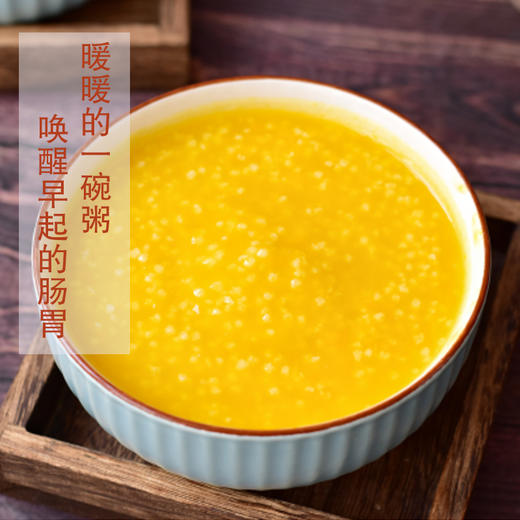 静若山红谷小米 | 山人优选，刚脱壳的农家新小米，颗粒饱满，油脂丰富，现磨现发，鲜香营养 商品图1