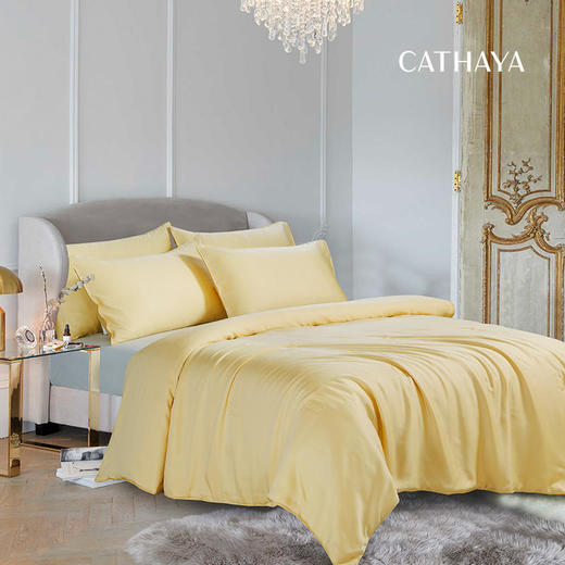 CATHAYA/凯喜雅 黄金茧夏凉被 真丝蚕丝被150*200cm抑菌 透气助眠[福利品] 商品图0