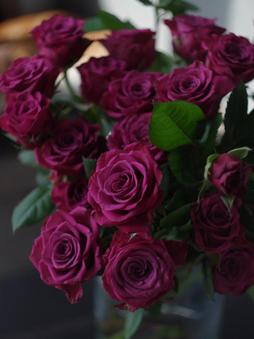 蓝莓多头玫瑰【我们相爱一生，一生还是太短】简小姐精选 复古浓郁气质紫红色多头玫瑰 蓝莓 10枝 2束包邮 下单5天内发货 商品图10