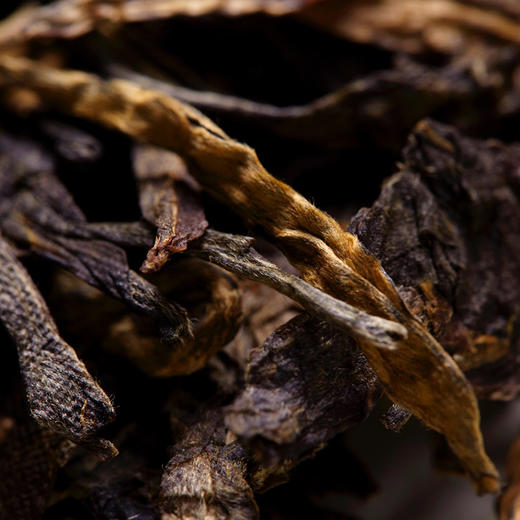 2019年磅礴普洱生茶 | 老班章核心产区头春茶，5年产陈古树茶原料70%，收藏级生普 商品图4