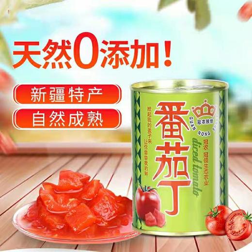 【新疆特产】冠农番茄丁400g*12 商品图0