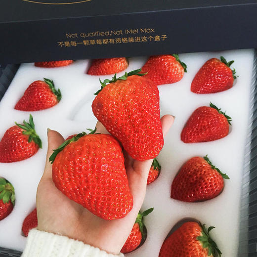 5天内发货 | iMeiMax 黑金轻奢版 丹东草莓 20颗/盒 个重≥40克 草莓界的roseonly[福利品] 商品图1
