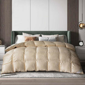 【已下架】预售|THESOWING百思寒 99%手工白鹅绒被羽绒被全真丝冬被220*240cm.潮快闪[福利品]