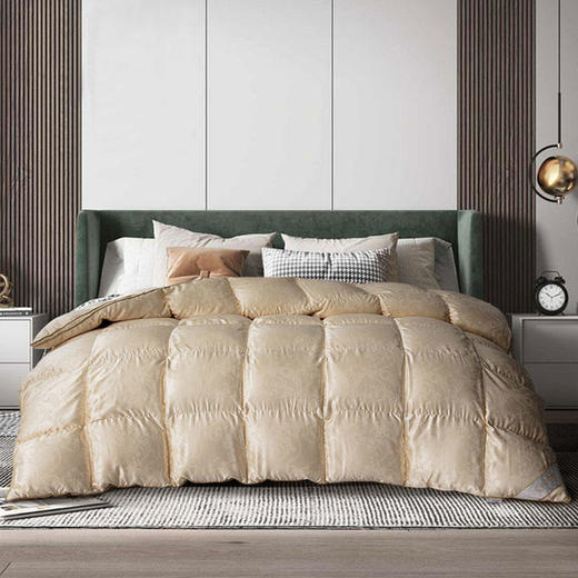 【已下架】预售|THESOWING百思寒 99%手工白鹅绒被羽绒被全真丝冬被220*240cm.潮快闪[福利品] 商品图0