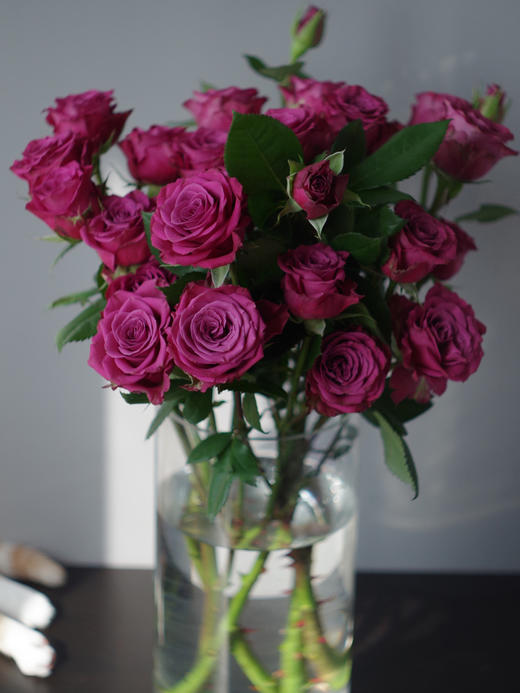 蓝莓多头玫瑰【我们相爱一生，一生还是太短】简小姐精选 复古浓郁气质紫红色多头玫瑰 蓝莓 10枝 2束包邮 下单5天内发货 商品图7