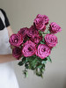 蓝莓多头玫瑰【我们相爱一生，一生还是太短】简小姐精选 复古浓郁气质紫红色多头玫瑰 蓝莓 10枝 2束包邮 下单5天内发货 商品缩略图2