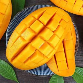 三亚金煌芒    （5斤/8斤净重礼盒）