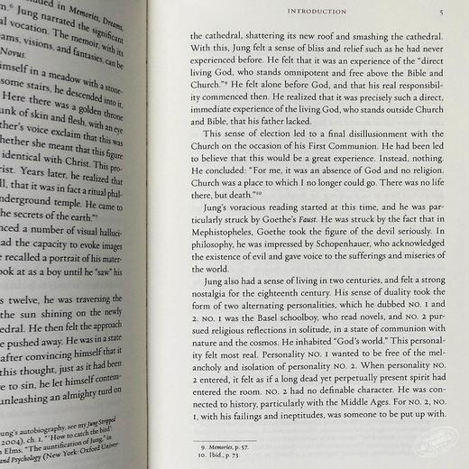【中商原版】卡尔·荣格：红书 英文原版 The Red Book: A Readers Edition 心理学 商品图5