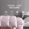 【已下架】百思寒 95%鹅绒被 羽绒被 静音四季子母被220cm*240cm [福利品] 商品缩略图4