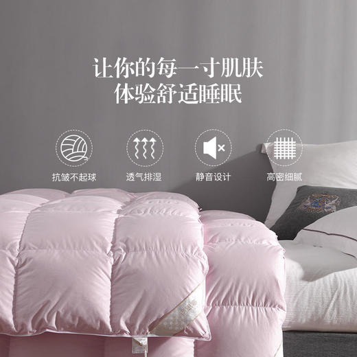【已下架】百思寒 95%鹅绒被 羽绒被 静音四季子母被220cm*240cm [福利品] 商品图4