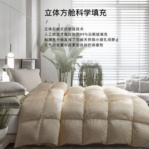【已下架】预售|THESOWING百思寒 99%手工白鹅绒被羽绒被全真丝冬被220*240cm.潮快闪[福利品] 商品图1