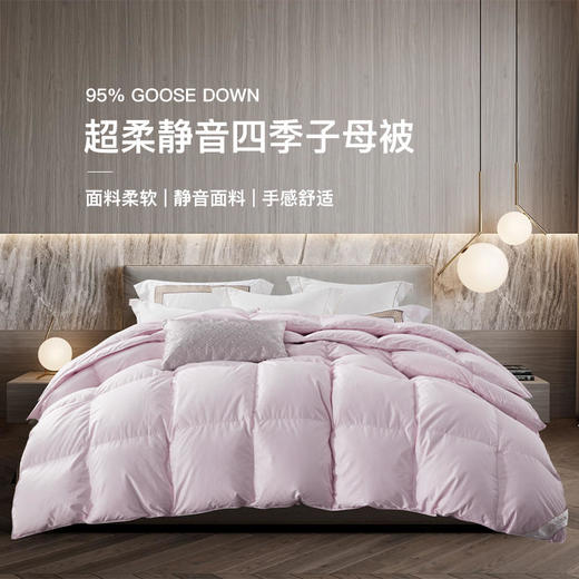【已下架】百思寒 95%鹅绒被 羽绒被 静音四季子母被220cm*240cm [福利品] 商品图0