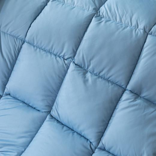 【床上用品】* 高档羽绒冬被 简约纯色加厚保暖礼品棉被 商品图1
