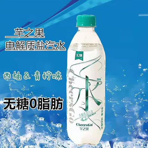 【1元1瓶】芊之果电解质盐汽水500毫升（0400020） 商品图0