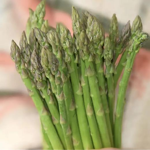青色一级鲜芦笋 2斤装  顺丰快递 商品图5