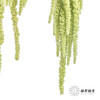 配花 | 吊米绿色 商品缩略图4