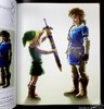【中商原版】塞尔达传说：荒野之息精装收藏版 英文原版 The Legend of Zelda: Breath of the Wild 商品缩略图6