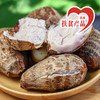 广东连南瑶乡红芽芋头5斤 商品缩略图1